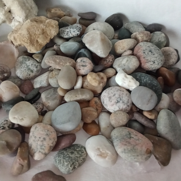 Fish Tank Accessories Sea Shells & Small Colorful Rocks Roman Column Aquarium - Picture 8 of 8